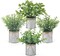 4 Pack Mini Artificial Farmhouse Potted Plants – Faux Eucalyptus in Galvanized Metal Pots for Mother’s Day Card Making, Rustic Home & Office Table Centerpiece Decor